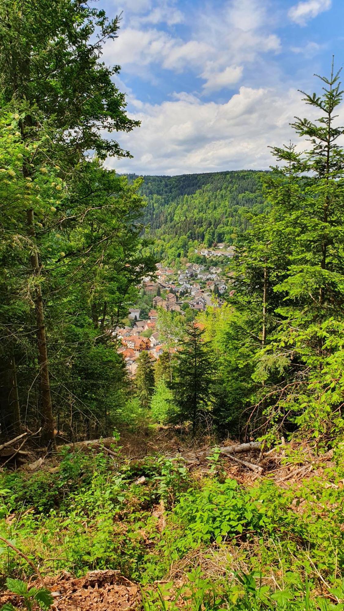 Ferienwohnung Saegemuehle Unterreichenbach Exteriér fotografie